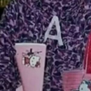 Meet your Posher, Joanna